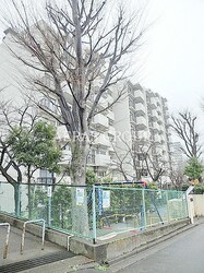 板橋中台マンションの物件外観写真